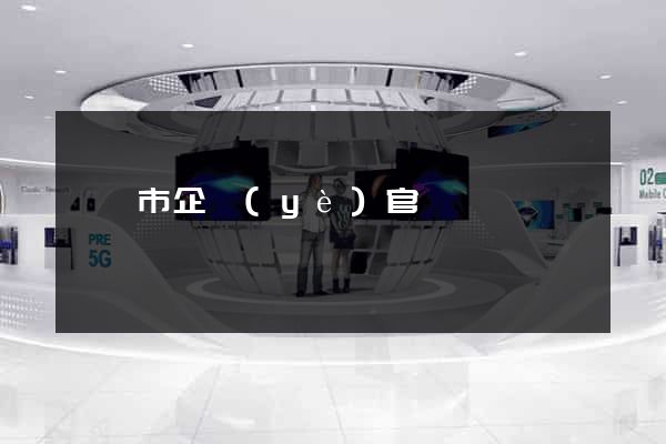 寧國市企業(yè)官網設計