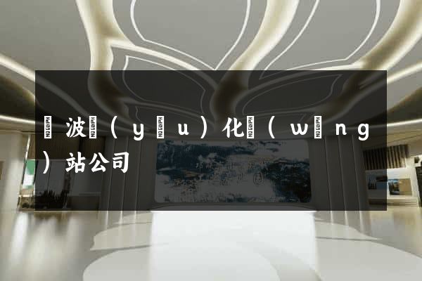 寧波優(yōu)化網(wǎng)站公司