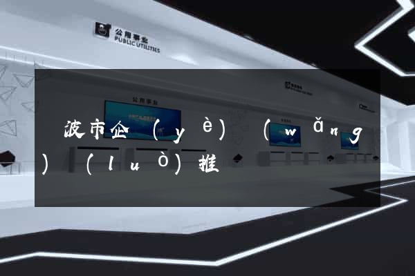 寧波市企業(yè)網(wǎng)絡(luò)推廣