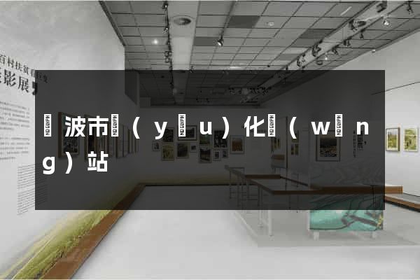 寧波市優(yōu)化網(wǎng)站