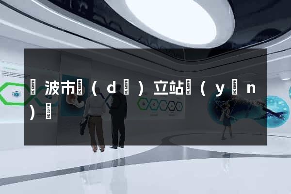 寧波市獨(dú)立站運(yùn)營