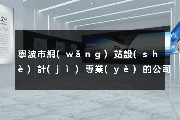 寧波市網(wǎng)站設(shè)計(jì)專業(yè)的公司