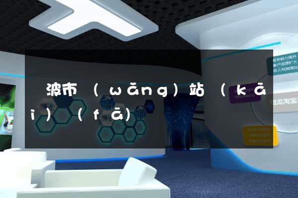 寧波市網(wǎng)站開(kāi)發(fā)