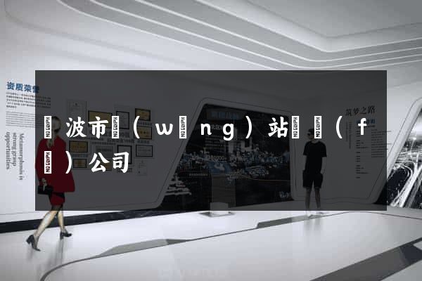 寧波市網(wǎng)站開發(fā)公司