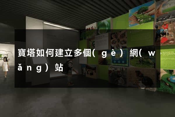 寶塔如何建立多個(gè)網(wǎng)站
