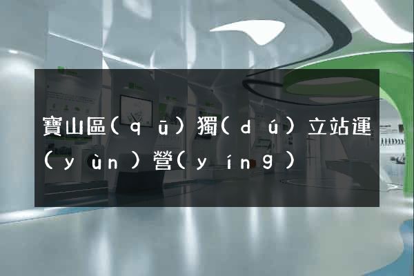 寶山區(qū)獨(dú)立站運(yùn)營(yíng)