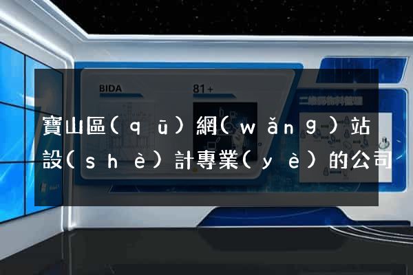 寶山區(qū)網(wǎng)站設(shè)計專業(yè)的公司