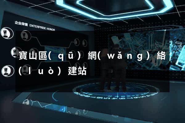 寶山區(qū)網(wǎng)絡(luò)建站