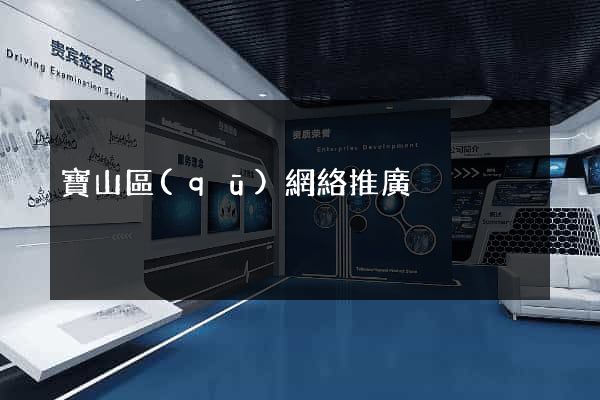 寶山區(qū)網絡推廣