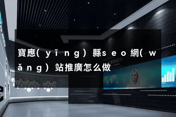 寶應(yīng)縣seo網(wǎng)站推廣怎么做