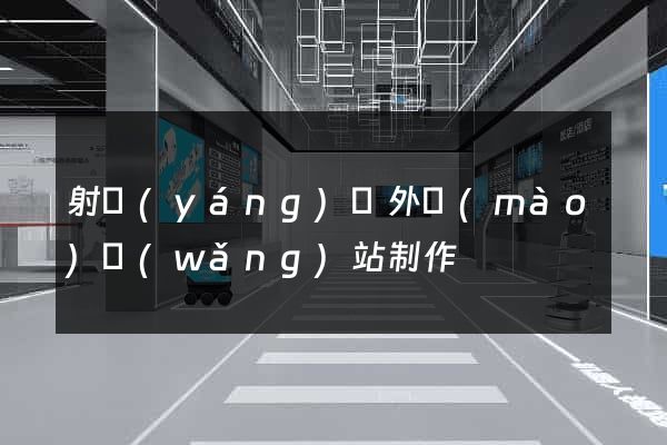 射陽(yáng)縣外貿(mào)網(wǎng)站制作
