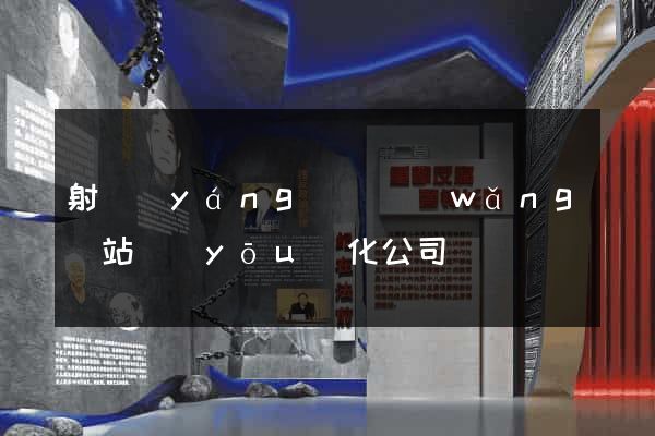 射陽(yáng)縣網(wǎng)站優(yōu)化公司