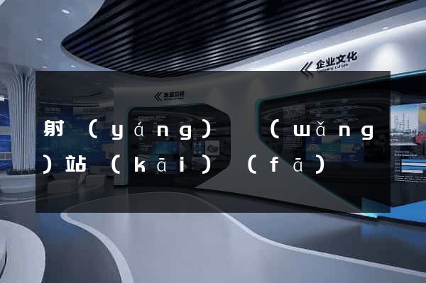 射陽(yáng)縣網(wǎng)站開(kāi)發(fā)