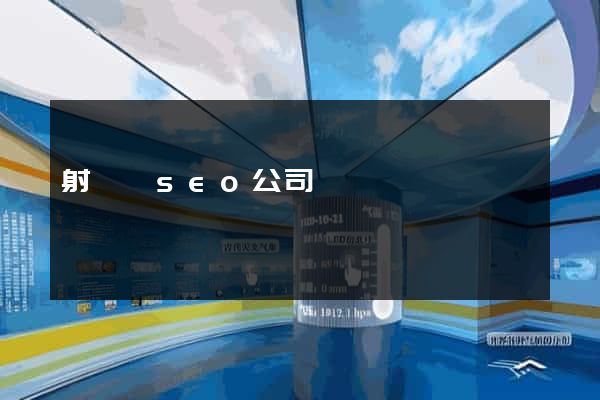 射陽縣seo公司