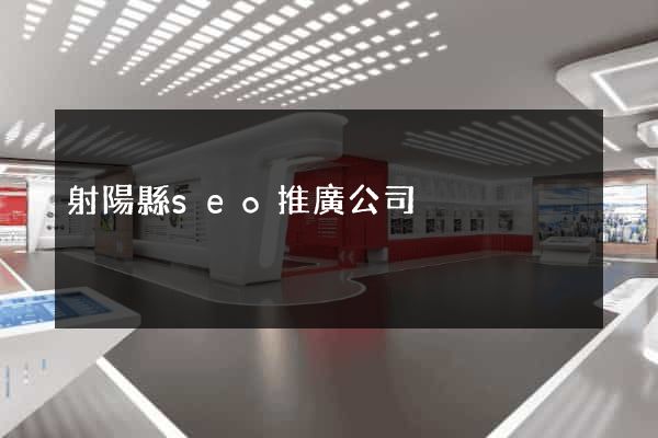 射陽縣seo推廣公司
