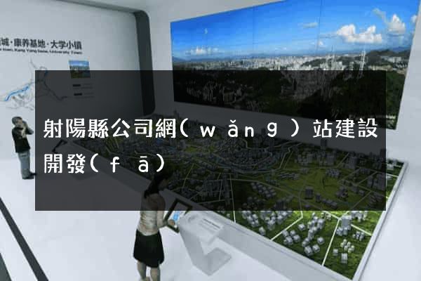 射陽縣公司網(wǎng)站建設開發(fā)
