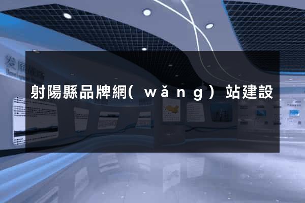 射陽縣品牌網(wǎng)站建設