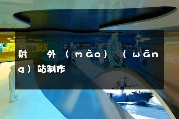 射陽縣外貿(mào)網(wǎng)站制作
