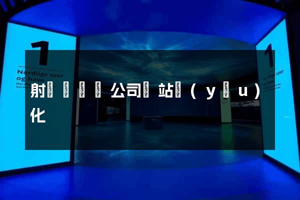 射陽縣設計公司網站優(yōu)化