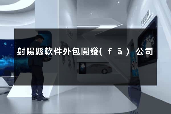 射陽縣軟件外包開發(fā)公司
