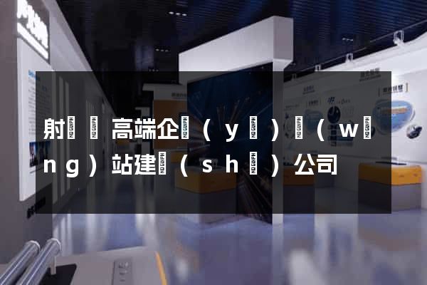 射陽縣高端企業(yè)網(wǎng)站建設(shè)公司