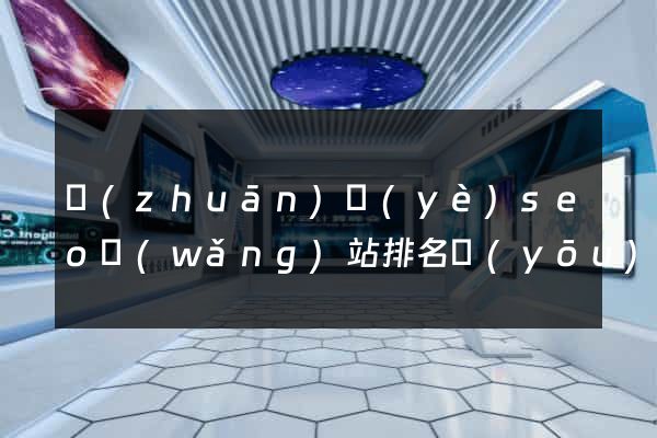專(zhuān)業(yè)seo網(wǎng)站排名優(yōu)化