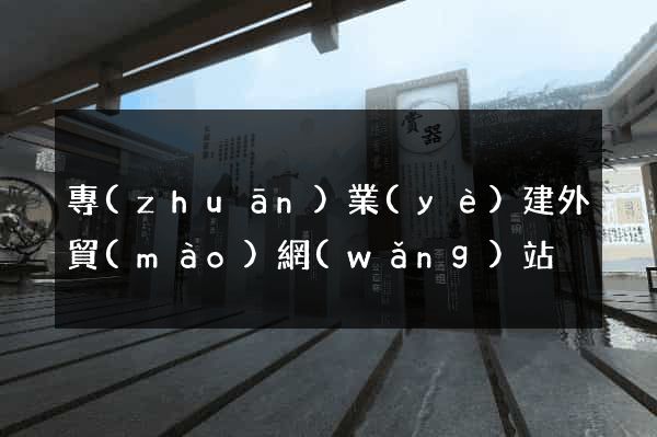專(zhuān)業(yè)建外貿(mào)網(wǎng)站