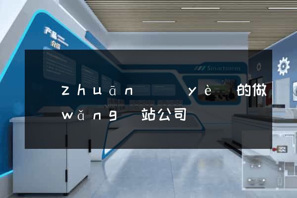 專(zhuān)業(yè)的做網(wǎng)站公司