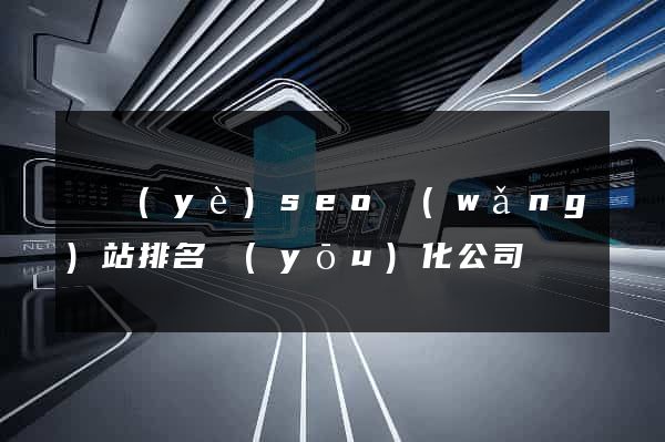 專業(yè)seo網(wǎng)站排名優(yōu)化公司