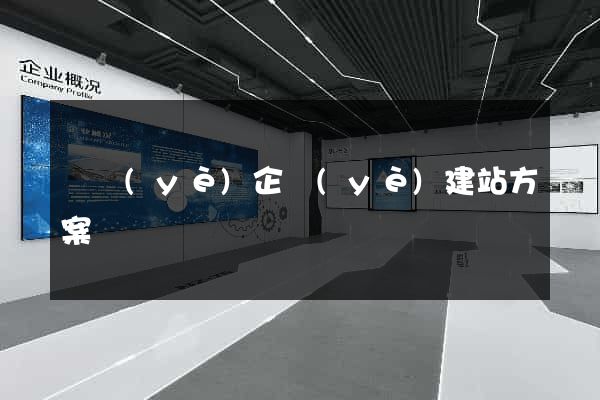 專業(yè)企業(yè)建站方案