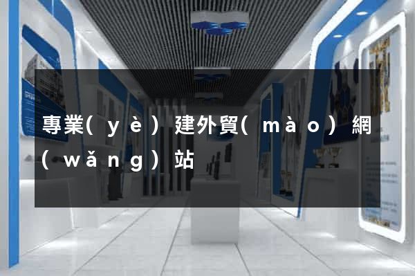 專業(yè)建外貿(mào)網(wǎng)站