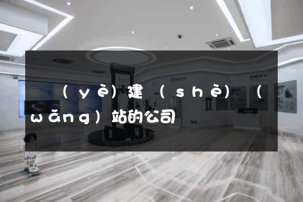 專業(yè)建設(shè)網(wǎng)站的公司