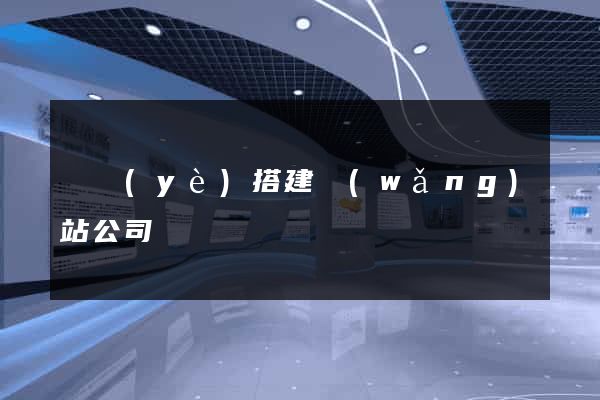 專業(yè)搭建網(wǎng)站公司