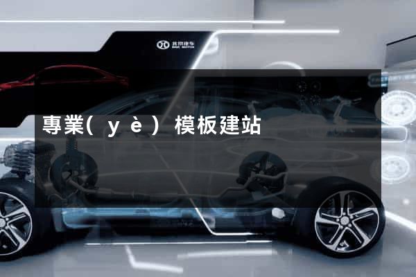專業(yè)模板建站