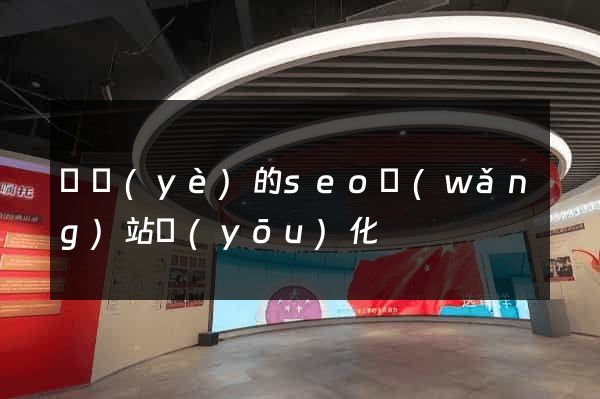 專業(yè)的seo網(wǎng)站優(yōu)化