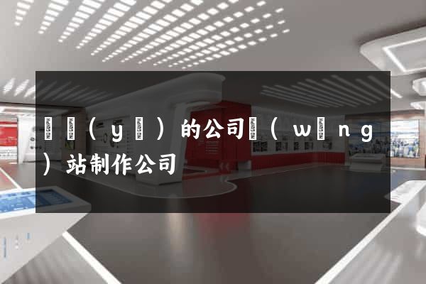 專業(yè)的公司網(wǎng)站制作公司