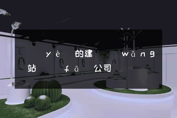 專業(yè)的建設網(wǎng)站開發(fā)公司