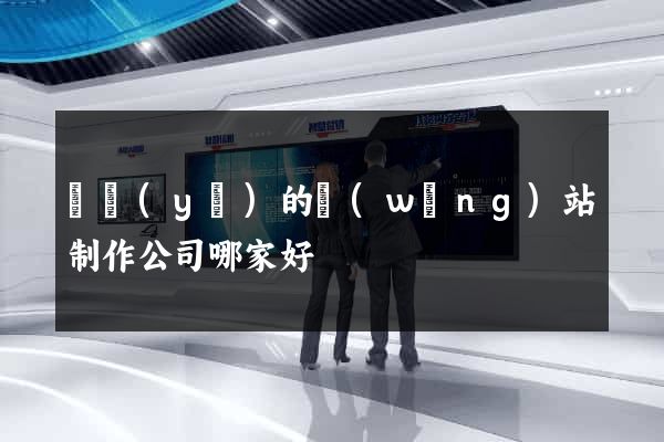 專業(yè)的網(wǎng)站制作公司哪家好