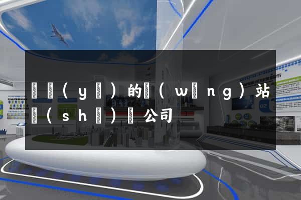 專業(yè)的網(wǎng)站設(shè)計公司