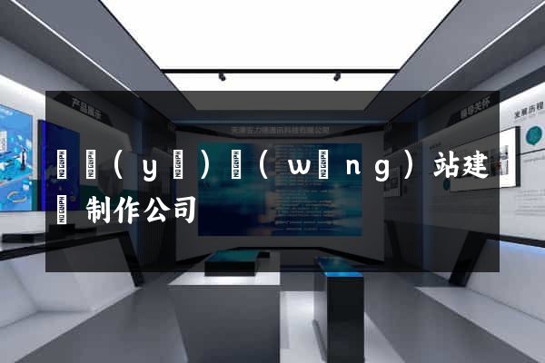 專業(yè)網(wǎng)站建設制作公司