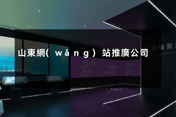 山東網(wǎng)站推廣公司