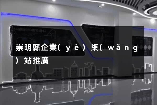 崇明縣企業(yè)網(wǎng)站推廣