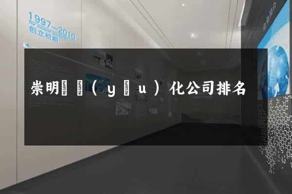 崇明縣優(yōu)化公司排名