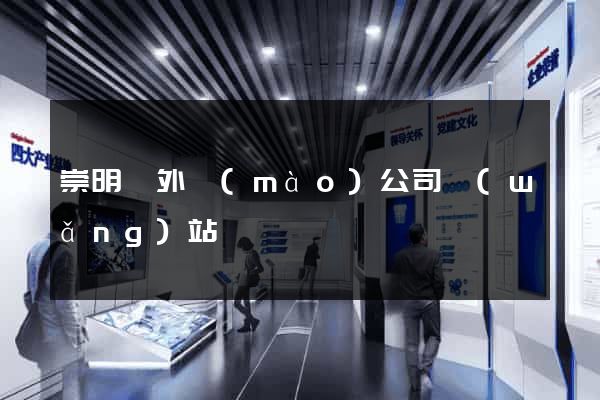 崇明縣外貿(mào)公司網(wǎng)站