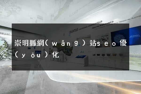 崇明縣網(wǎng)站seo優(yōu)化