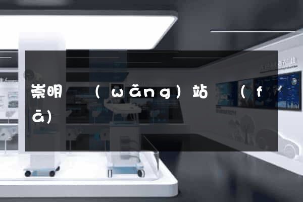 崇明縣網(wǎng)站開發(fā)
