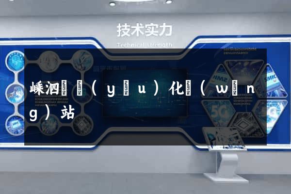 嵊泗縣優(yōu)化網(wǎng)站