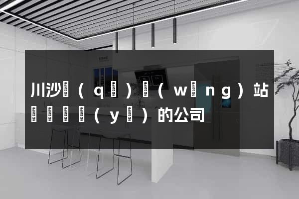 川沙區(qū)網(wǎng)站設計專業(yè)的公司