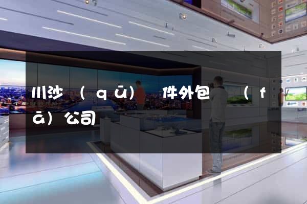 川沙區(qū)軟件外包開發(fā)公司