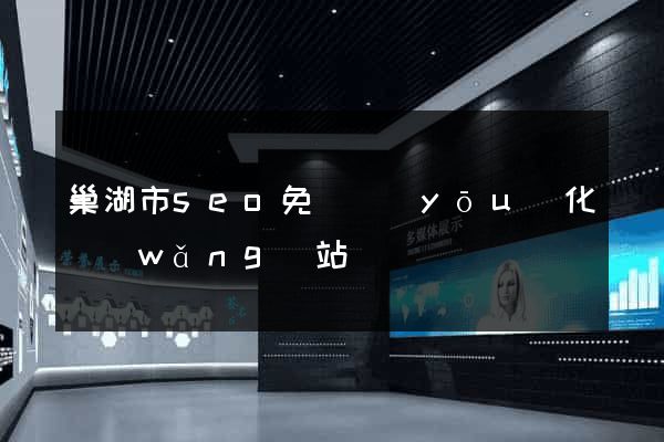 巢湖市seo免費優(yōu)化網(wǎng)站